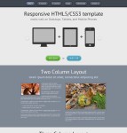 灰色响应式CSS3单页模板