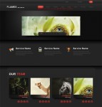 黑色火焰html5网页模板