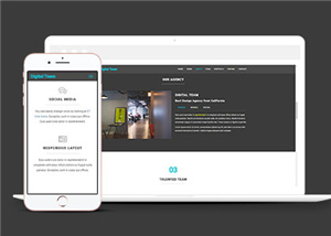 数字团队服务展示响应式通用网页模板下载