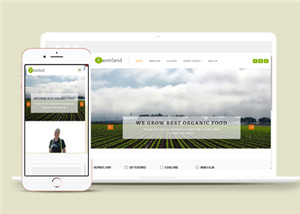 适合农业发展公司官网html5模板