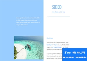 sided淡蓝色清爽双面主题响应式网页模板