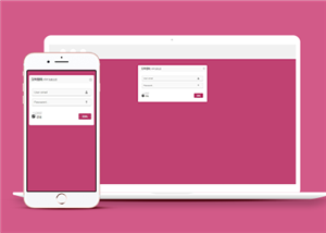简约大气自适应html登陆界面网页模板