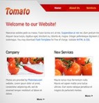 tomato滑动红色浅灰色微型站点网站模板