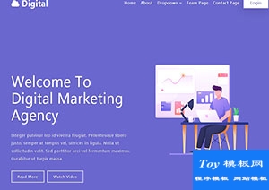 Digital紫色扁平化数字品牌推广营销网站模板