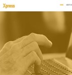 Xpress金色UI最佳平面设计多用途网站模板