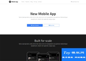 New Mobile App响应式网站模板