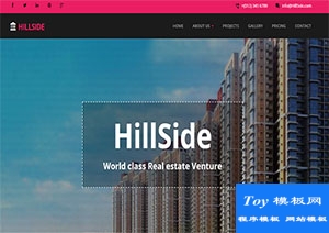 Hillside精致奢华房地产建设公司首页网站模板