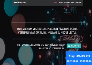 Kodachrom彩色灯光摄影响应式web网站模板