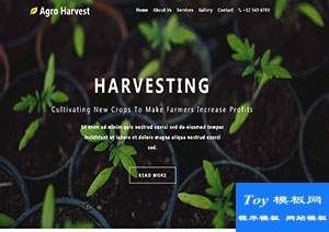 Agro Harvest宽屏绿色植物盆栽创新html模板