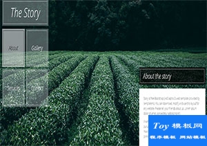 story画廊及服务多页网站模板