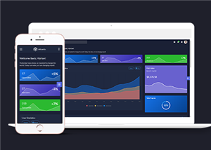 响应式图表统计后台管理网站静态模板
