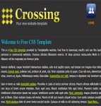 crossing黄色灰色交叉标准式网站布局web模板