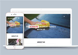 高端大图排版洗车连锁企业单页网站模板