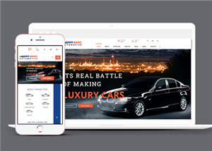 炫酷高端汽车品牌种类查询网站模板