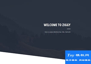 Ziggy黑白UI个人生活主题响应式网站模板