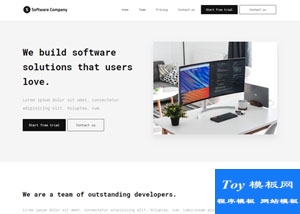 software软件开发公司网站模板