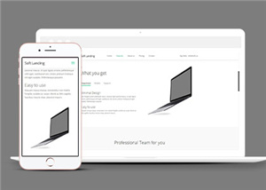 软件产品服务团队响应式通用网页模板下载