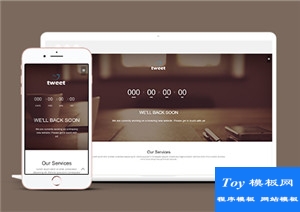 tweet棕色ui最佳页面设计多用途web网站模板