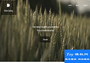 Video Catalog精美影片目录摄影博客网站模板