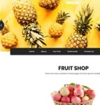 FRUIT SHOP水果商店响应式网站模板