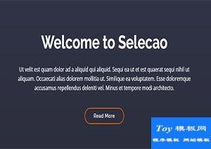 Selecao框架创建便捷响应式网站模板