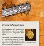 western shop木质背景2列HTML艺术性网站模板