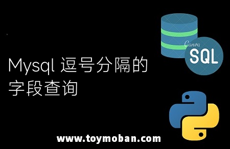 Mysql 逗号分隔的字段查询