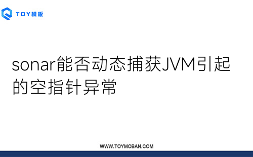 sonar能否动态捕获JVM引起的空指针异常