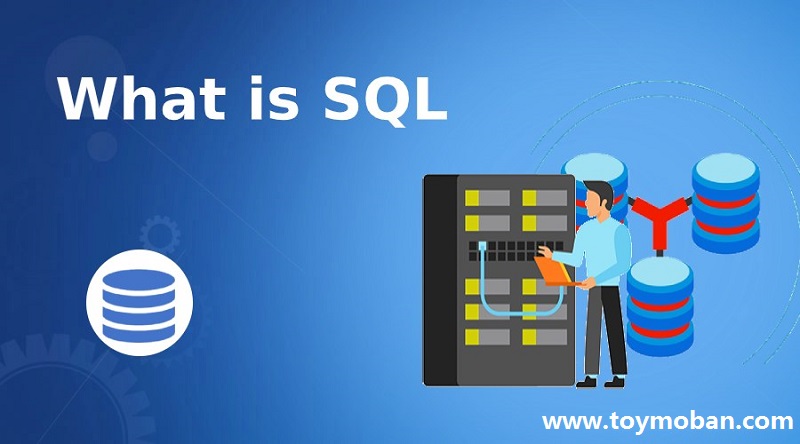 SQL是什么?